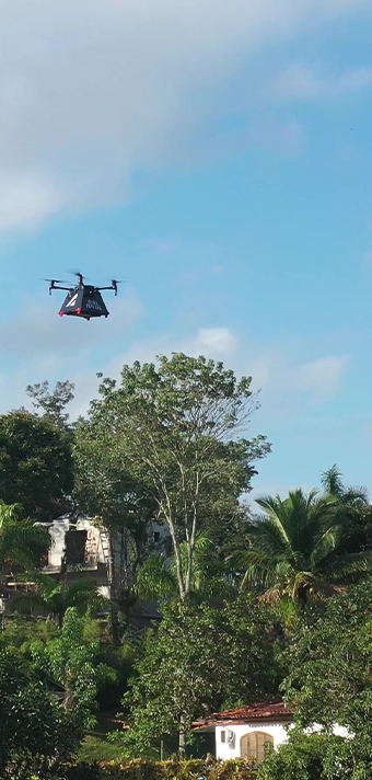 Delivery drones